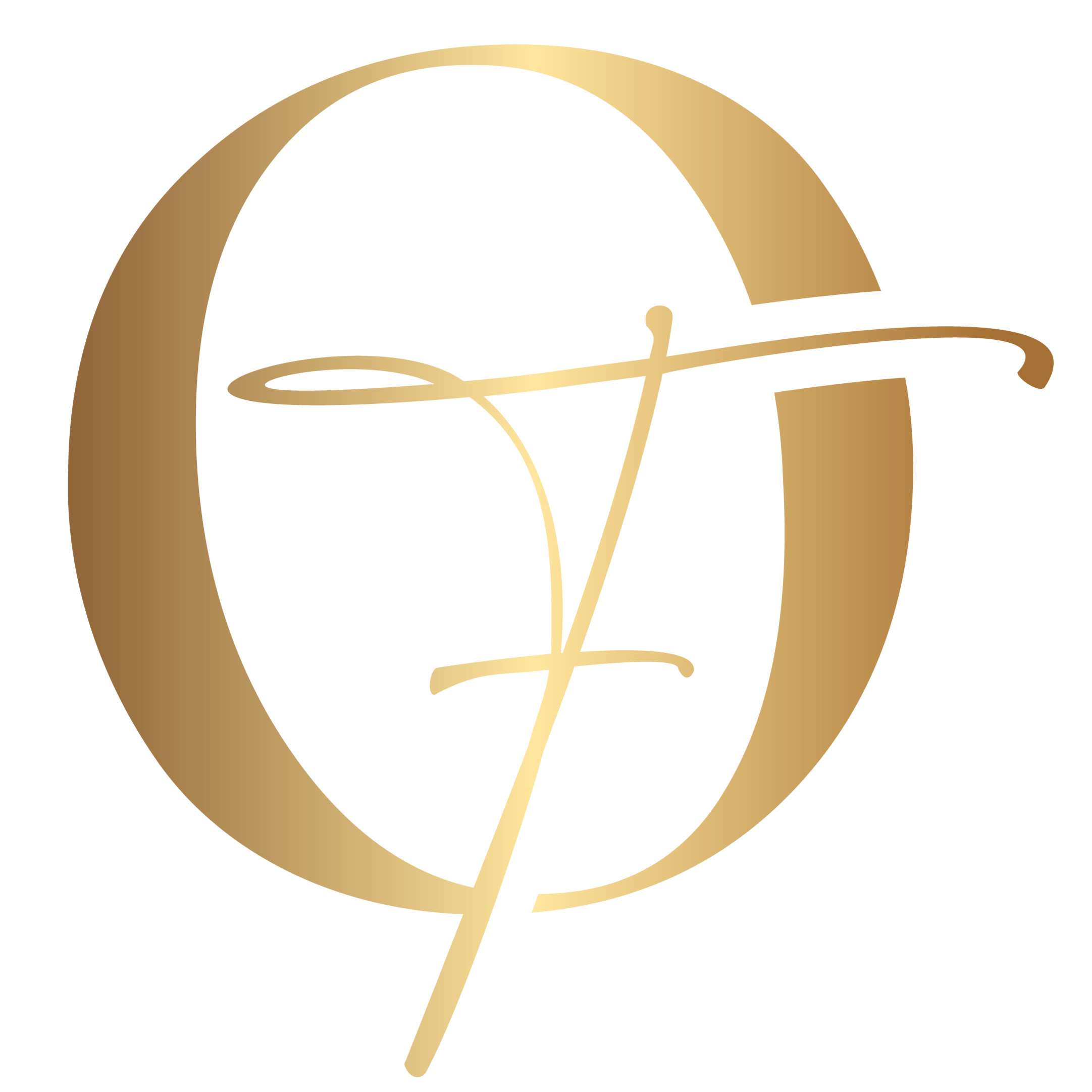 alt="Collection of luxury watch accessories and storage solutions by OFL"